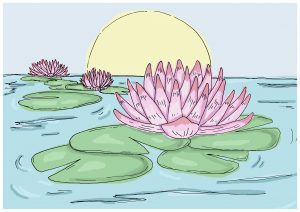 Illustration of pink waterlilies with large green leaves, blue water, and a sun on the horizon.