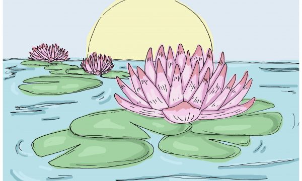 Illustration of pink waterlilies with large green leaves, blue water, and a sun on the horizon.