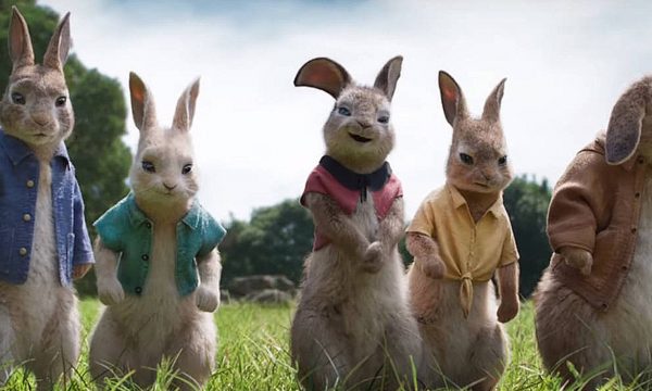 peter rabbit and his rabbit friends stood together