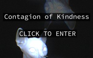 Screenshot from the film with text reading 'Contagion of Kindness CLICK TO ENTER'