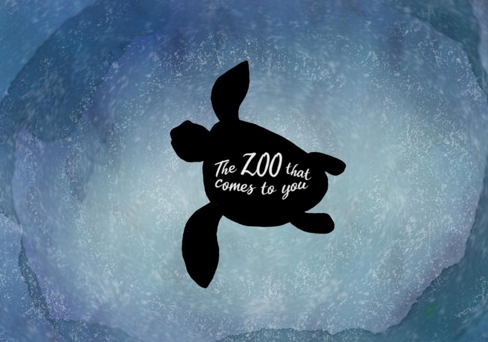 Text reading 'The ZOO that comes to you' in white on the silhouette of a black terrapin swimming over a light blue background
