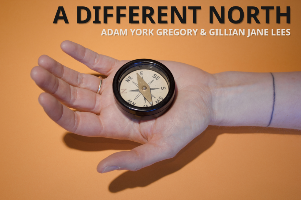 Text reading A DIFFERENT NORTH ADAM YORK GREGORY & GILLIAN JANE LEES above a photograph of a compass in a hand wearing a plain gold ring.