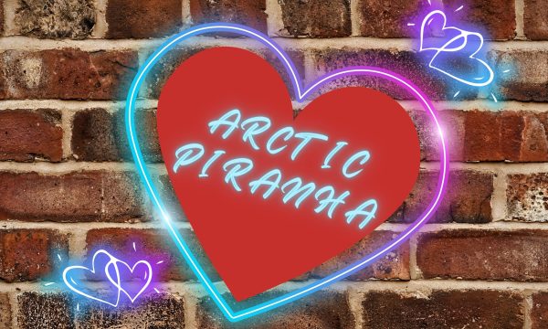Text reads 'Arctic Piranha' inside a love heart against a brick wall