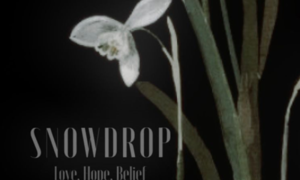 An image of a snowdrop on a black background. Text: SNOWDROP Love. Hope. Belief