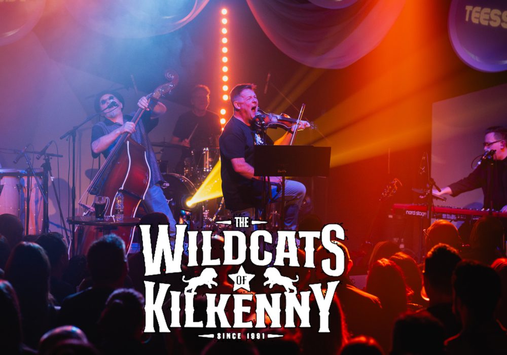 Mike from Wildcats plays fiddle on stage to a busy crowd, there's a double bass player, keyboard player and drummer also on stage with Mike
