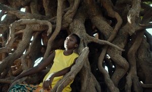 A person in a yellow t-shirt sat in the roots of a large tree