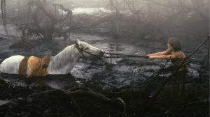 A boy pulling a white horse from a bog.