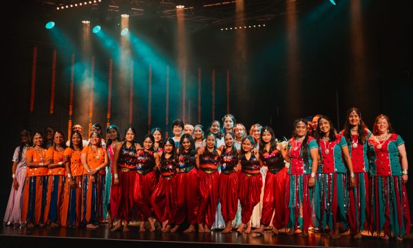 Photo shows ensemble of dancers who perform as part of the festival of light and colour in Stockton, all wearing traditional Indian garments,