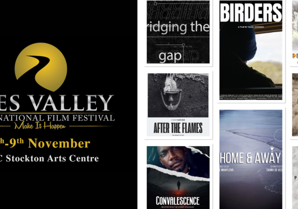 Tees Valley International Film Festival logo and dates 6-9 November, plus a collage of 10 promo images for the films in the Documentary category